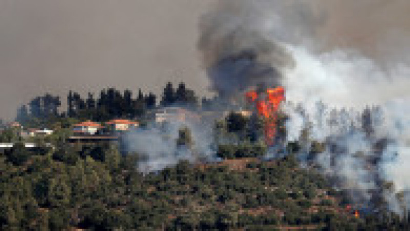 Incendiu de vegetație în apropiere de Ierusalim. Foto: Prodimedia | Poza 5 din 8