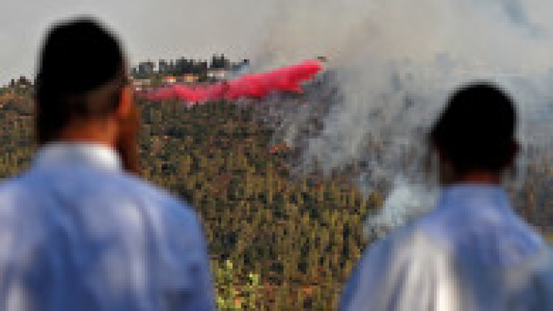 Incendiu de vegetație în apropiere de Ierusalim. Foto: Prodimedia | Poza 2 din 8