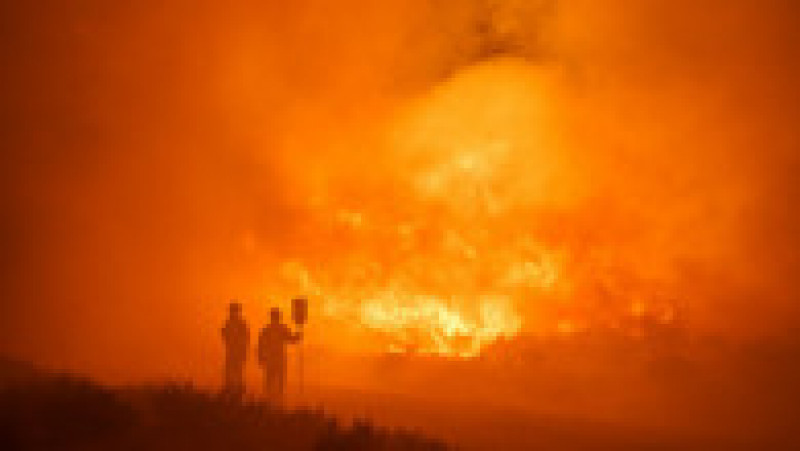 Incendii de vegetație au izbucnit în regiuni ale Spaniei în urma înregistrării unor temperaturi-record Foto: Profimedia | Poza 9 din 9