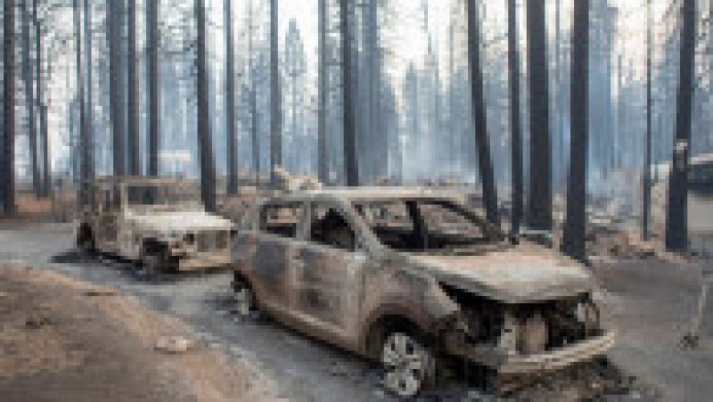 Un nou incendiu de vegetație este scăpat de sub control în nordul statului California. FOTO: Twitter Karl Mondon | Poza 4 din 5