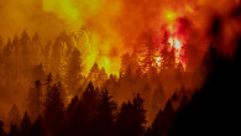 Un nou incendiu de vegetație este scăpat de sub control în nordul statului California. FOTO: Twitter Karl Mondon | Poza 1 din 5