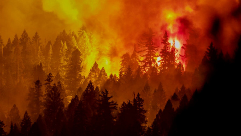 Un nou incendiu de vegetație este scăpat de sub control în nordul statului California. FOTO: Twitter Karl Mondon