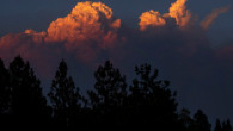 Un nou incendiu de vegetație este scăpat de sub control în nordul statului California. FOTO: Twitter Karl Mondon | Poza 2 din 5