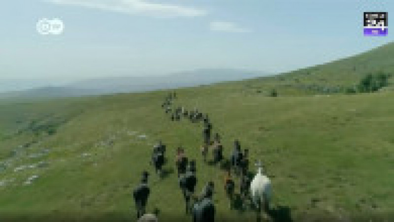Aproximativ 800 de cai trăiesc liber în Munții Cincar din Bosnia-Herțegovina Foto: captură video | Poza 13 din 14
