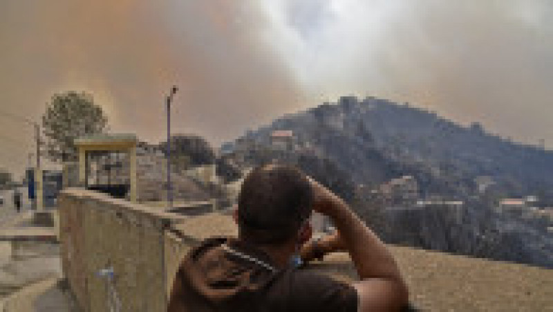 Incendiile de pădure au cuprins regiunea muntoasă Kabylie, de la est de capitala Algeriei. Foto: Profimedia Images | Poza 11 din 11