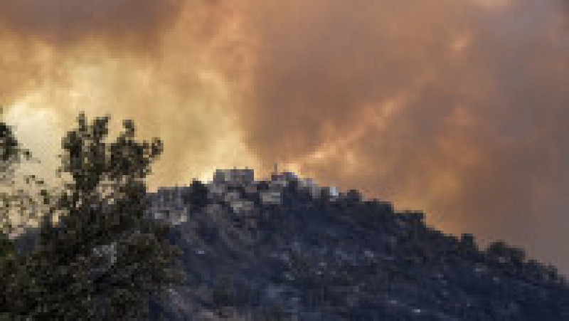 Incendiile de pădure au cuprins regiunea muntoasă Kabylie, de la est de capitala Algeriei. Foto: Profimedia Images | Poza 1 din 11