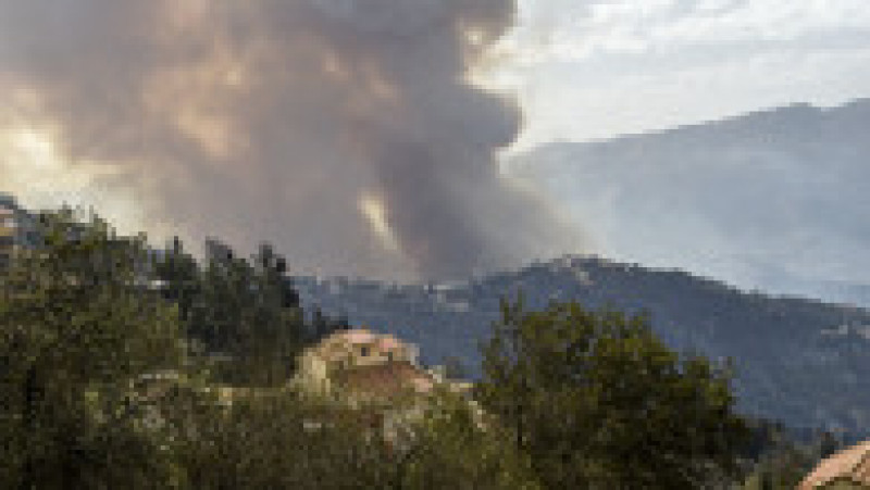 Incendiile de pădure au cuprins regiunea muntoasă Kabylie, de la est de capitala Algeriei. Foto: Profimedia Images | Poza 10 din 11