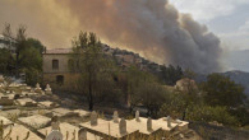 Incendiile de pădure au cuprins regiunea muntoasă Kabylie, de la est de capitala Algeriei. Foto: Profimedia Images | Poza 5 din 11