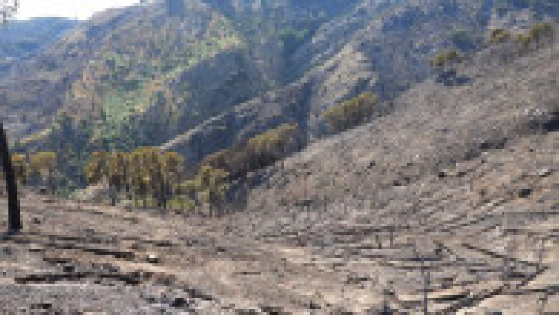 Este stare de urgență în Sicilia, unde mii de hectare s-au făcut scrum din cauza incendiilor de vegetație. FOTO: Profimedia Images | Poza 6 din 6