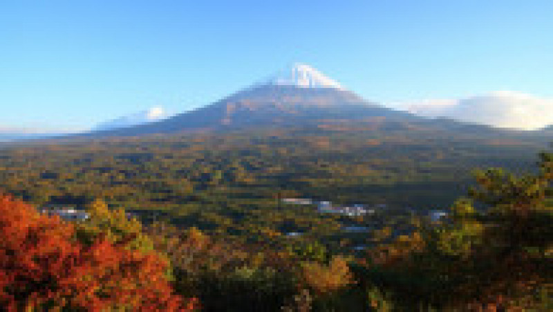 Muntele Fuji cu pădurea Aokigahara, supranumită și pădurea sinucigașilor, un loc pe cât de frumos, pe atât de înconjurat de mituri și povești de groază Foto: Profimedia | Poza 15 din 20