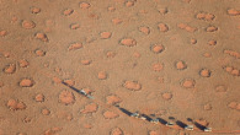 Inițial s-a crezut că „cercurile zânelor” care se pot observa în deșertul Namib sunt opera termitelor Foto: Profimedia | Poza 8 din 20