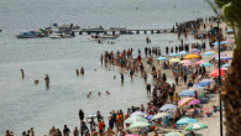 Lanț uman pe malul lagunei Mar Menor pentru a protesta față de poluare Foto: Profimedia Images | Poza 19 din 19