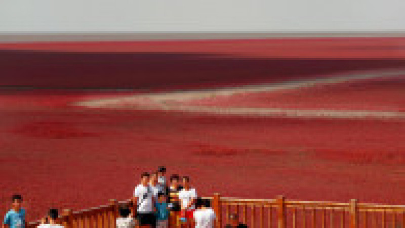 Plaja Roșie din Delta Liaohe, China FOTO: Profimedia Images | Poza 3 din 35
