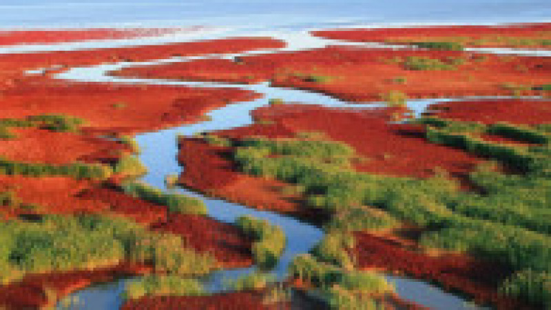 Plaja Roșie din Delta Liaohe, China FOTO: Profimedia Images | Poza 25 din 35
