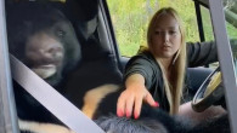 O tânără din Rusia a fost surprinsă în mai multe fotografii în timp ce călătorește în mașină cu un urs. FOTO: Profimedia Images | Poza 6 din 14
