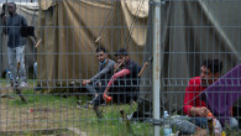 Imigranții ilegali sunt cazați de lituanieni într-o tabără de corturi lângă granița cu Belarus Foto: Profimedia Images | Poza 3 din 8