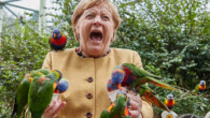 Angela Merkel a făcut o vizită surpriză în parcul de păsări din Marlow. FOTO: Profimedia Images | Poza 3 din 8