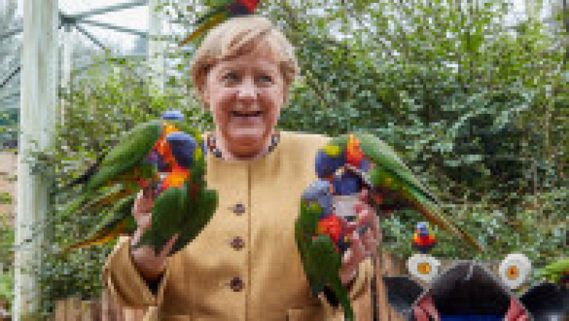 Angela Merkel a făcut o vizită surpriză în parcul de păsări din Marlow. FOTO: Profimedia Images | Poza 1 din 8