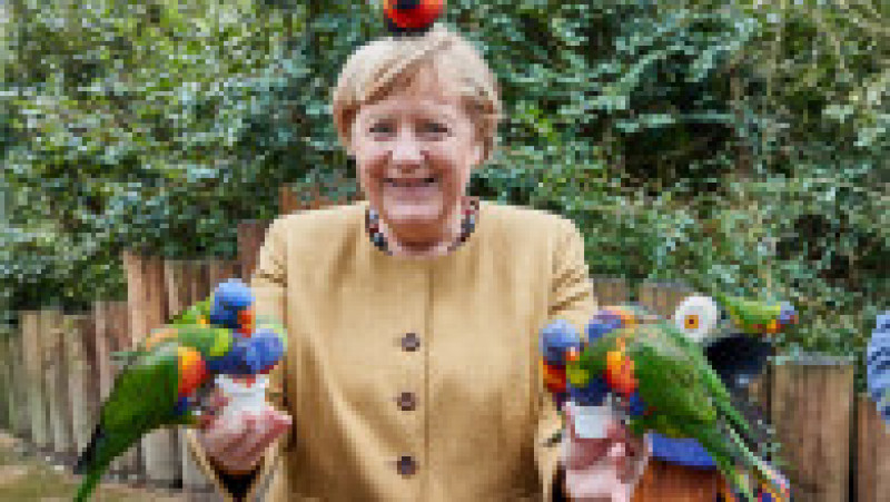 Angela Merkel a făcut o vizită surpriză în parcul de păsări din Marlow. FOTO: Profimedia Images | Poza 5 din 8