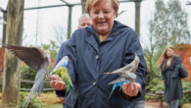 Angela Merkel a făcut o vizită surpriză în parcul de păsări din Marlow. FOTO: Profimedia Images | Poza 2 din 8
