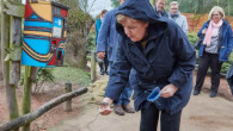 Angela Merkel a făcut o vizită surpriză în parcul de păsări din Marlow. FOTO: Profimedia Images | Poza 7 din 8