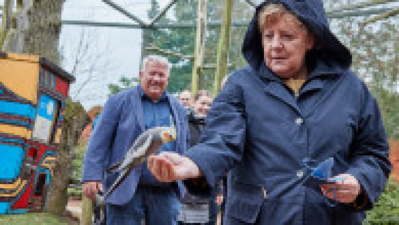Angela Merkel a făcut o vizită surpriză în parcul de păsări din Marlow. FOTO: Profimedia Images | Poza 4 din 8