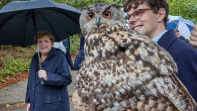 Angela Merkel a făcut o vizită surpriză în parcul de păsări din Marlow. FOTO: Profimedia Images | Poza 6 din 8