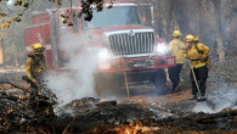 O femeie care încerca să fiarbă apă ar fi produs ultimul incendiu din California FOTO: Profimedia Images | Poza 17 din 17