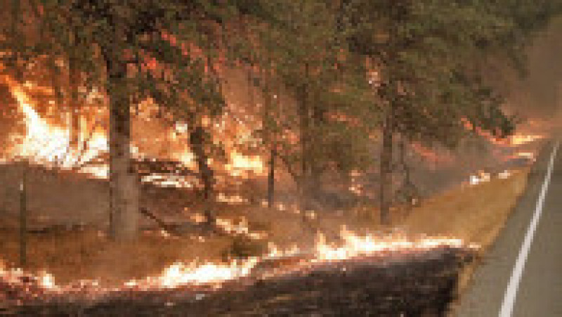 O femeie care încerca să fiarbă apă ar fi produs ultimul incendiu din California FOTO: Profimedia Images | Poza 14 din 17