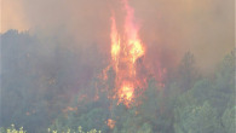 O femeie care încerca să fiarbă apă ar fi produs ultimul incendiu din California FOTO: Profimedia Images | Poza 9 din 17