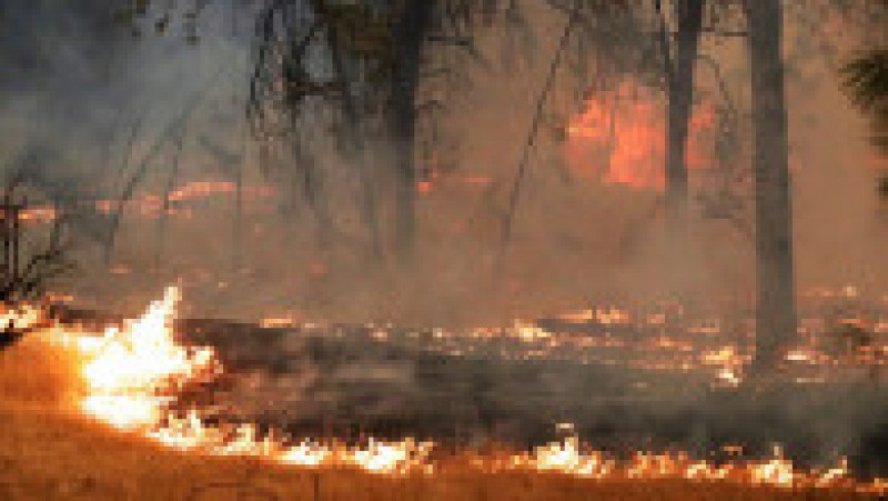 O femeie care încerca să fiarbă apă ar fi produs ultimul incendiu din California FOTO: Profimedia Images | Poza 5 din 17