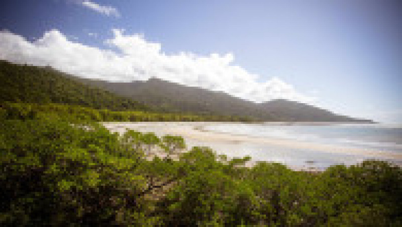 Plaja Cape Tribulation din regiunea Daintree. Sursa foto: Profimedia Images | Poza 3 din 18
