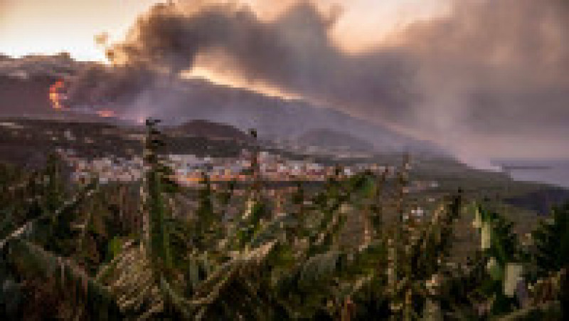 Fluxurile de lavă au distrus în total 589 de clădiri, inclusiv locuinţe, şi au acoperit 258 de hectare de teren. Foto: Profimedia Images | Poza 7 din 8
