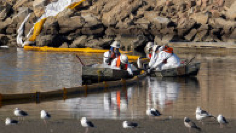 Sute de pești și păsări moarte, pe plajă în California, după o scurgere de petrol de proporții istorice. FOTO: Profimedia Images | Poza 8 din 9