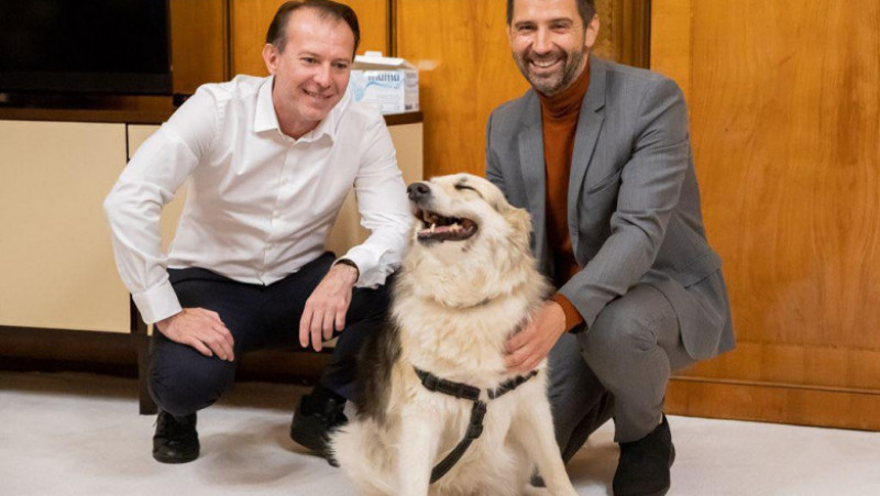 Florin Cîțu și Agent Green au discutat despre o campanie de adopție pentru câinii fără stăpân. Foto: Agent Green / Facebook