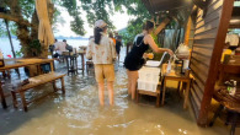 Restaurantul lui Titiporn atrage turiști pe bandă rulantă, care preferă să stea la masă cu picioarele în apă. FOTO: Profimedia Images | Poza 4 din 16