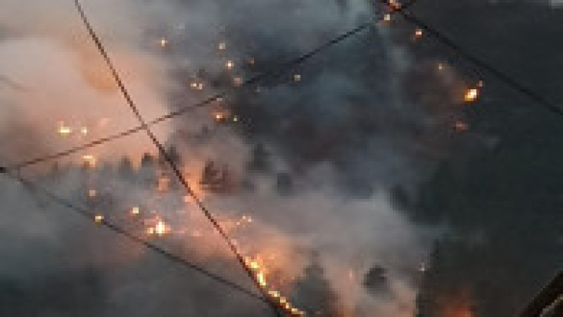 Incendiul de pădure din Oituz, județul BacăuFOTO: Facebook ISU Bacău | Poza 3 din 7