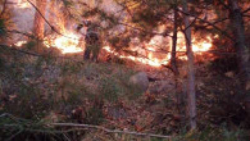 Incendiul de pădure din Oituz, județul BacăuFOTO: Facebook ISU Bacău | Poza 1 din 7