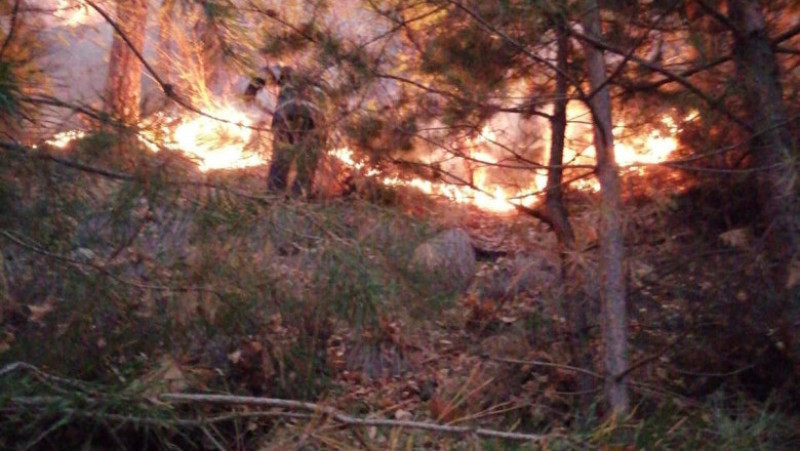 Incendiul de pădure din Oituz, județul BacăuFOTO: Facebook ISU Bacău