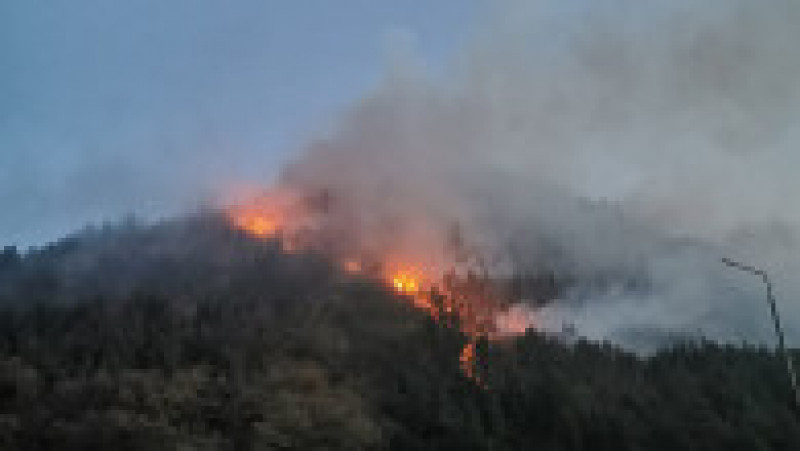 Pădurea de la Oituz arde de cinci zile. FOTO: Facebook ISU Bacău | Poza 9 din 9