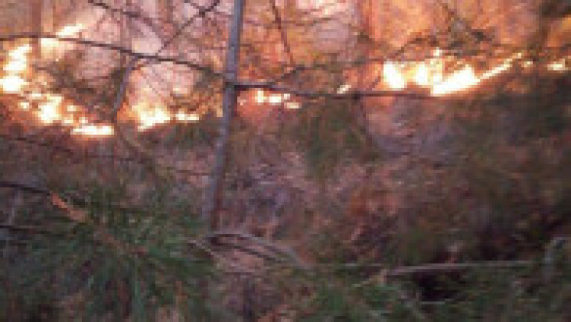 Incendiul de pădure din Oituz, județul BacăuFOTO: Facebook ISU Bacău | Poza 8 din 9