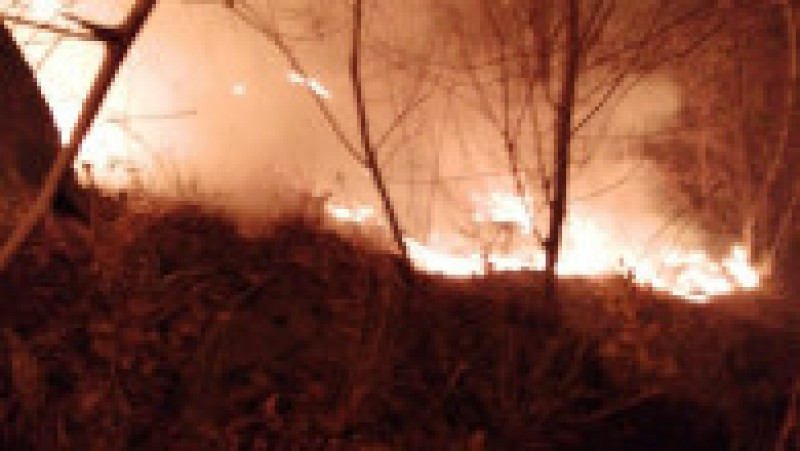 Pădurea de la Oituz arde de cinci zile. FOTO: Facebook ISU Bacău | Poza 6 din 9