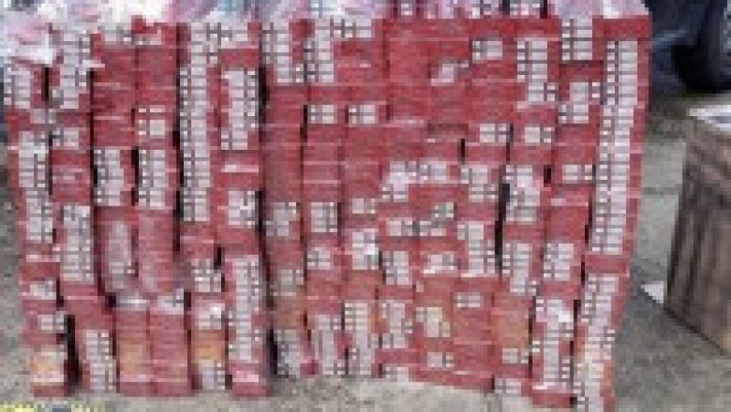 Țigări confiscate de la contrabandiști. Foto: DIICOT | Poza 5 din 13