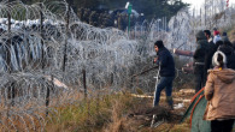 Migranții au forțat gardul de sârmă ghimpată de la granița cu Polonia. Foto: Profimedia Images | Poza 7 din 7