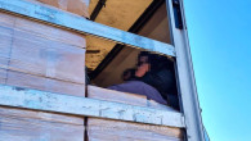 Migranți afgani descoperiți într-un TIR plin cu jucării de pluș FOTO: Poliția de Frontieră | Poza 1 din 4