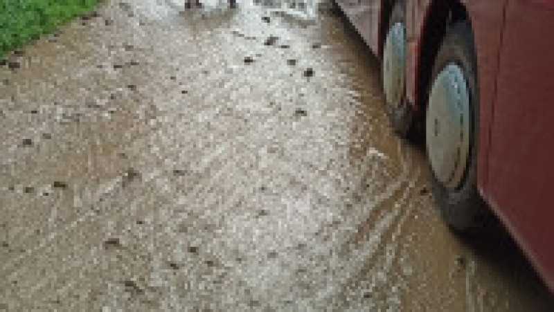 Inundații în Sicilia. Foto: Profimedia Images | Poza 9 din 11