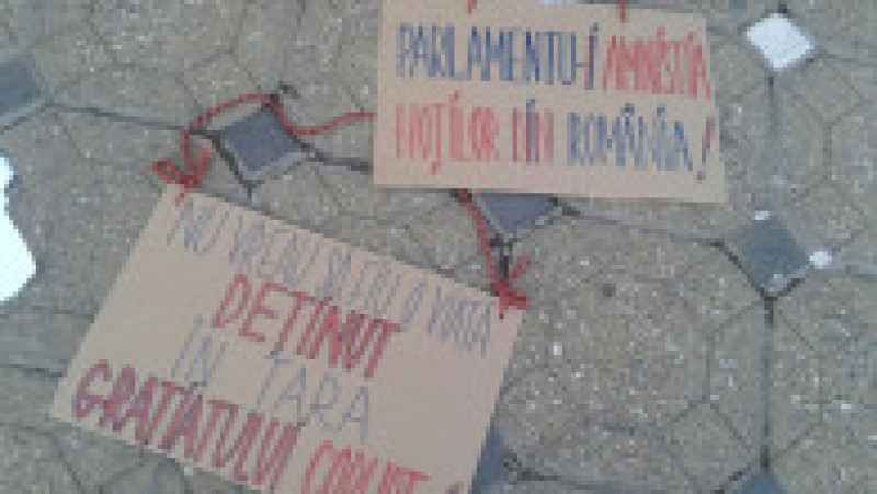 Pancarte protest Timisoara 1 290117 | Poza 5 din 28
