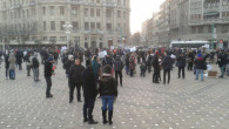 Proteste Timisoara 2 290117 | Poza 11 din 28