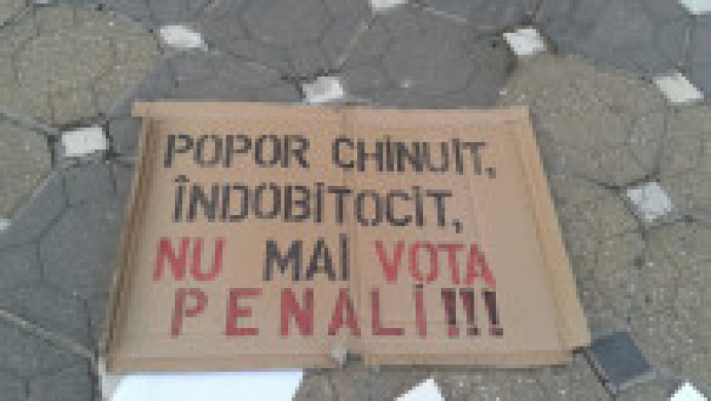 Pancarte protest Timisoara 3 290117 | Poza 7 din 28