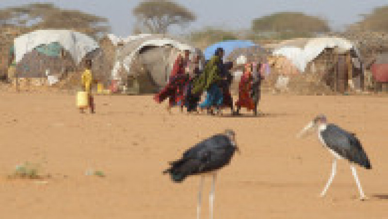 Refugees Flock To Dadaab As Famine Grips Somalia | Poza 9 din 10